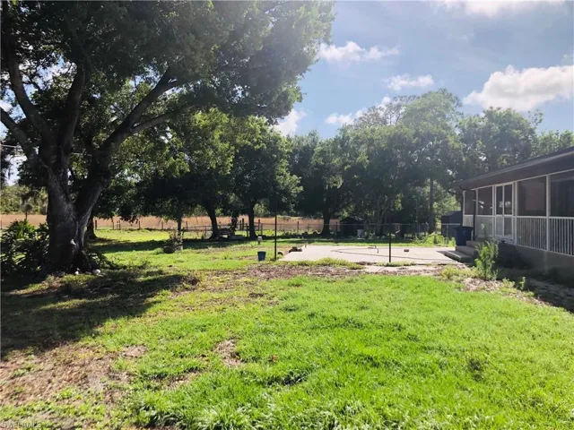 Back Yard