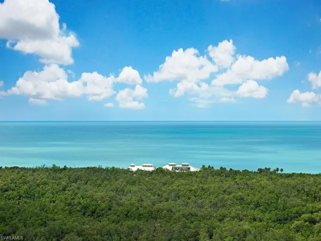 SOARING GULF VIEWS