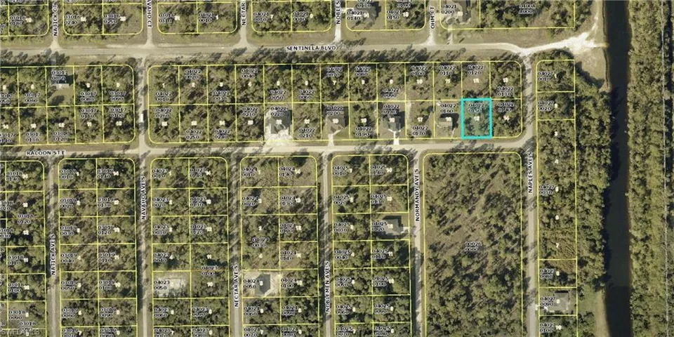 1245 Racoon St E, Lehigh Acres, Florida 33974