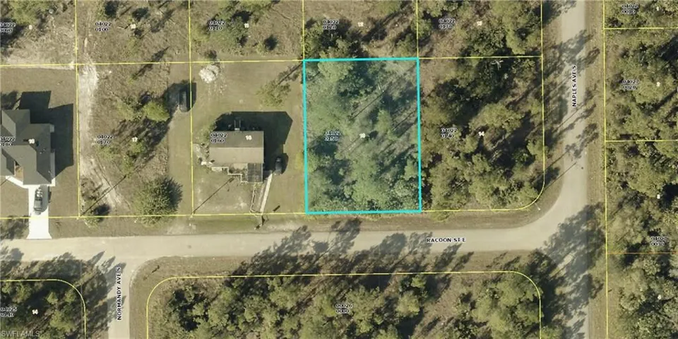 1245 Racoon St E, Lehigh Acres, Florida 33974