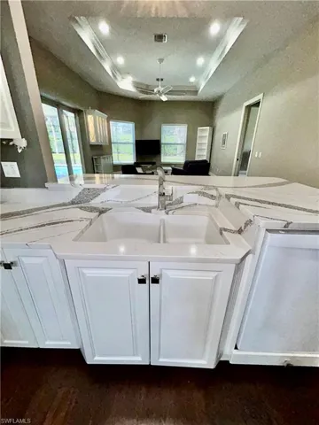 Kitchen has Exotic Quartz countertops, white Blanco double sink, Moen high polish designer series faucet with pull out sprayer.