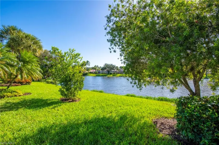 15339 Upwind Dr Bonita Springs FL 34135 - Backyard