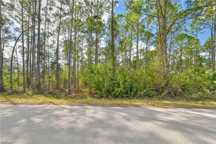 2017  Grant  AVE, Alva, FL 33920