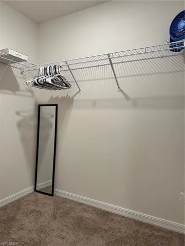Spacious closet with carpet flooring