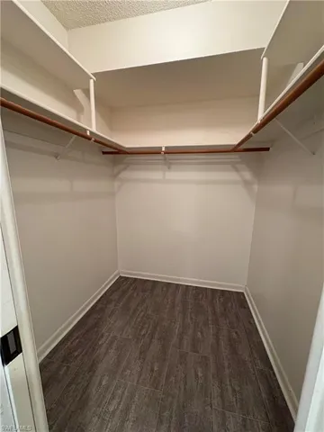 Spacious closet with dark hardwood / wood-style flooring