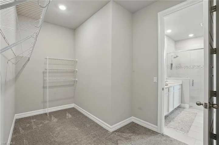 Spacious closet with carpet floors