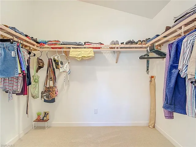 Spacious Walk in closet featuring carpet