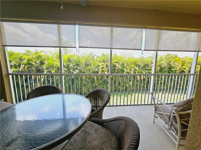 Palm tree view from your screened lanai