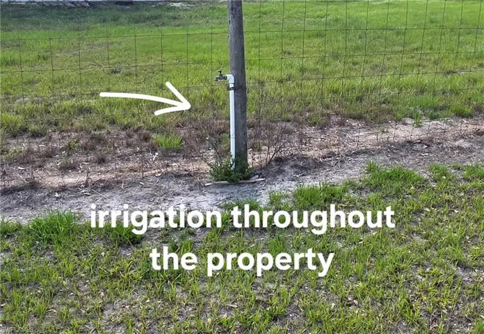 13312 Tangelo Ave, Clewiston, Florida 33440