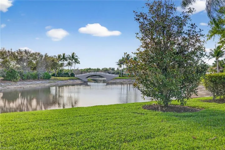 Backyard View