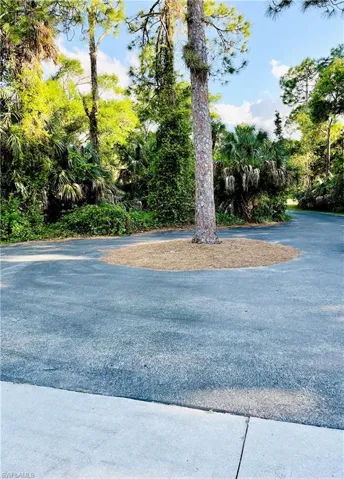 Round about driveway