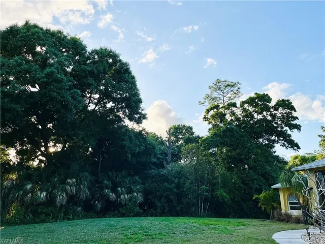 Front yard