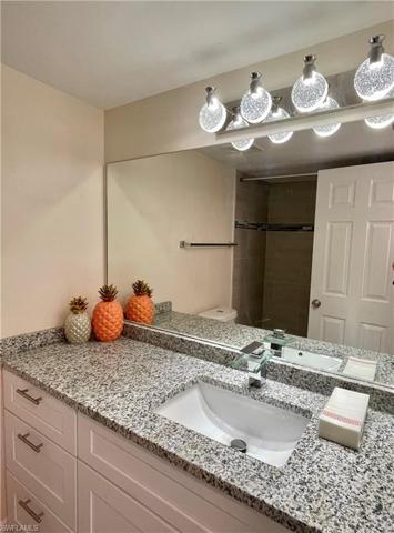 New lighting fixtures and counter