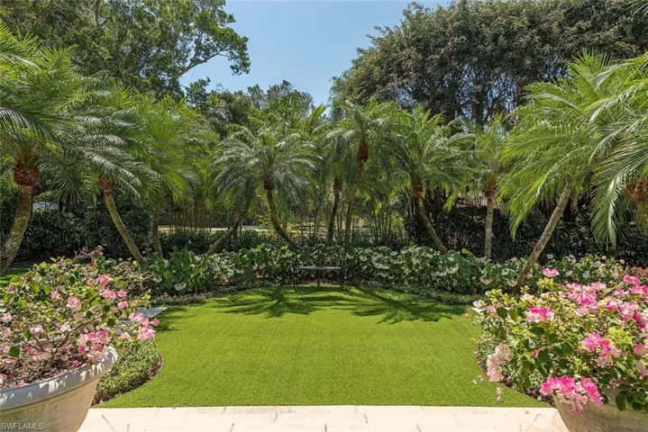 View of grassy yard