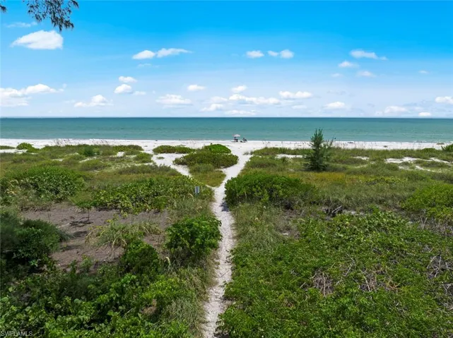 Sandy path through natural foliage directly approaching a white sand beach and turquoise ocean