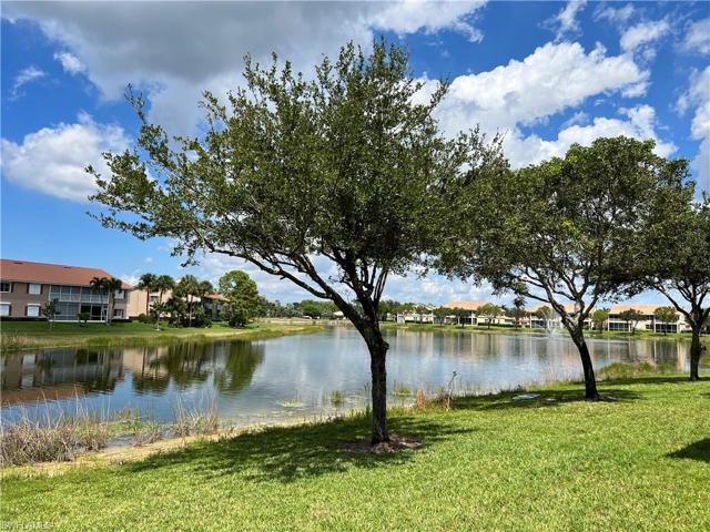 Peaceful Lake View