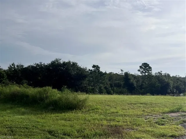 View of local wilderness