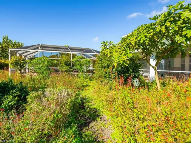 Butterfly Garden.