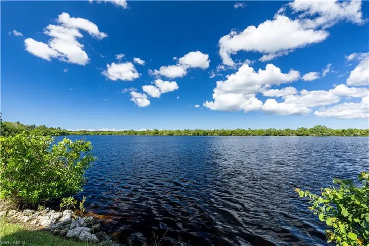 Expansive waterfront with natural landscaping and mature foliage