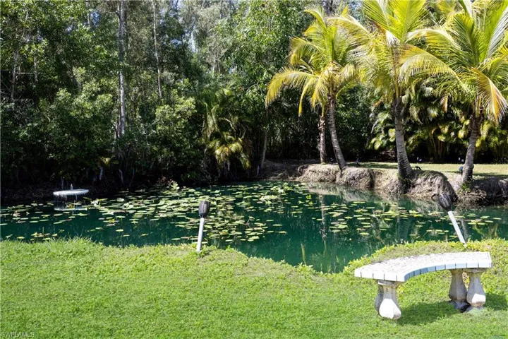 back pond