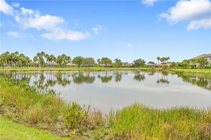 POND VIEW