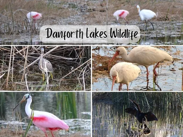 Bird watchers will love this home and neighborhood!