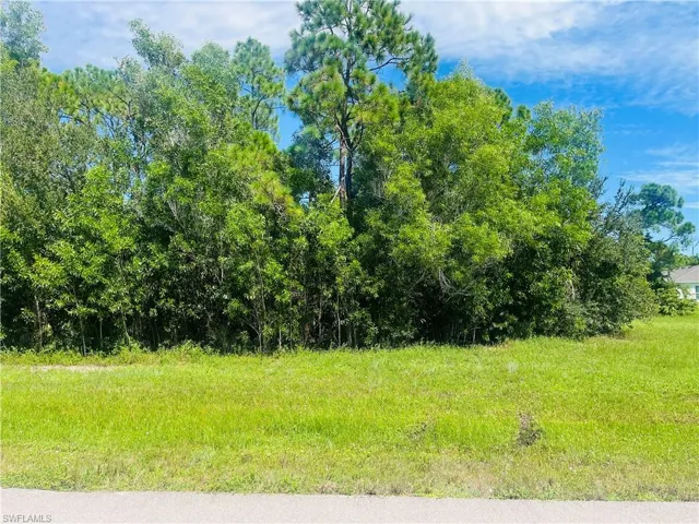 Expansive lot featuring a grass foreground and a dense background of mature trees