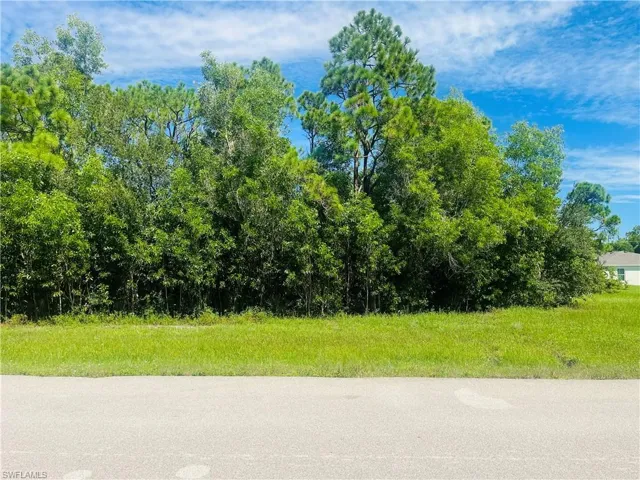 Expansive undeveloped lot with mature trees and natural vegetation