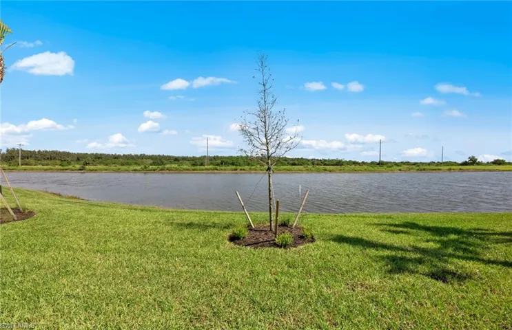 4195  Traditions  DR, Ave Maria, FL 34142