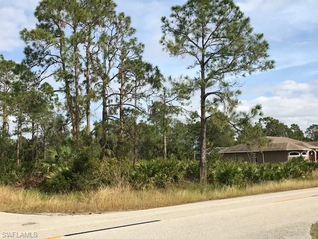 View of road