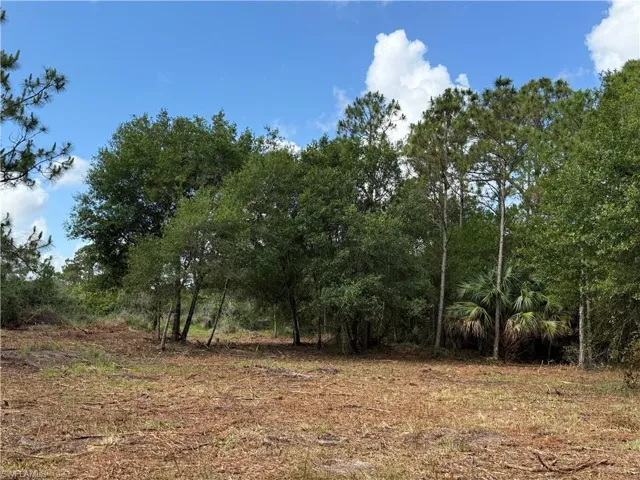 858 Woodland Blvd, Clewiston, Florida 33440