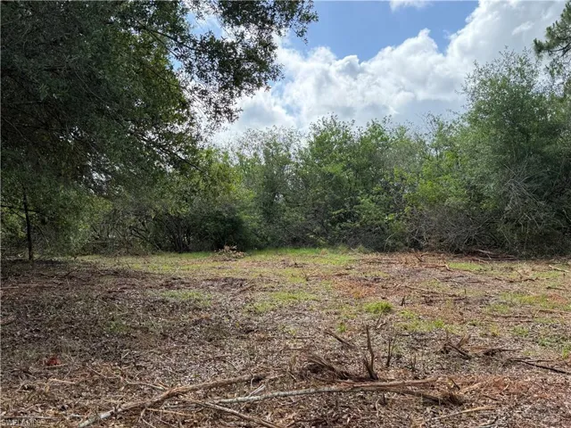858 Woodland Blvd, Clewiston, Florida 33440