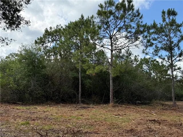 858 Woodland Blvd, Clewiston, Florida 33440