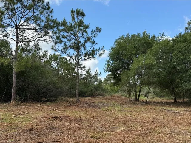 858 Woodland Blvd, Clewiston, Florida 33440