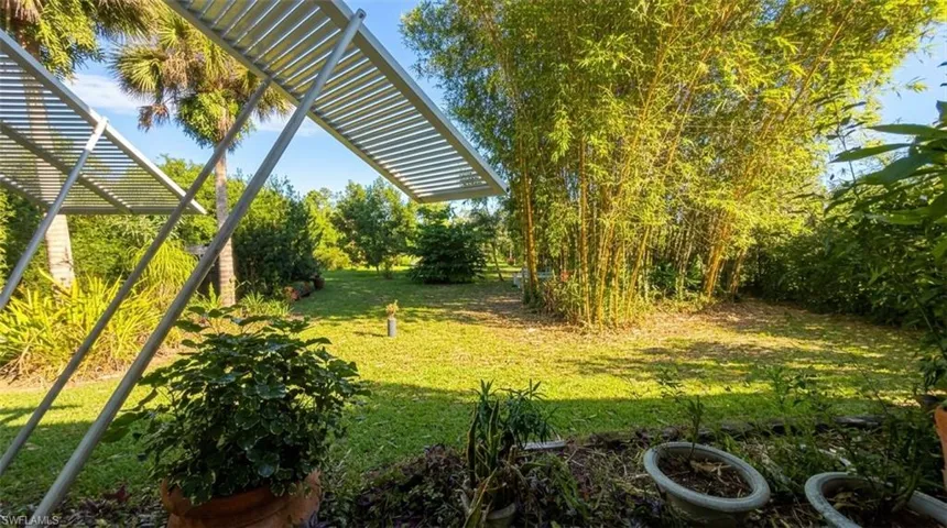Expansive backyard featuring a grass lawn, structural metal pergola, mature bamboo, and assorted palm trees