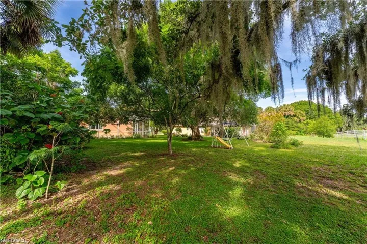 View of grassy yard