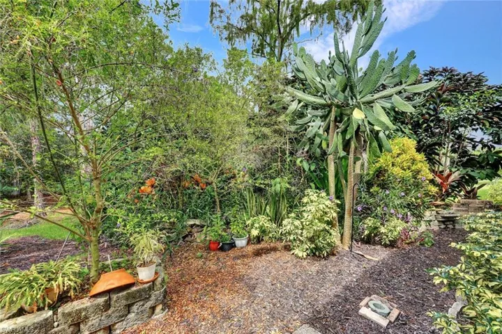 TROPICAL LANSCAPING