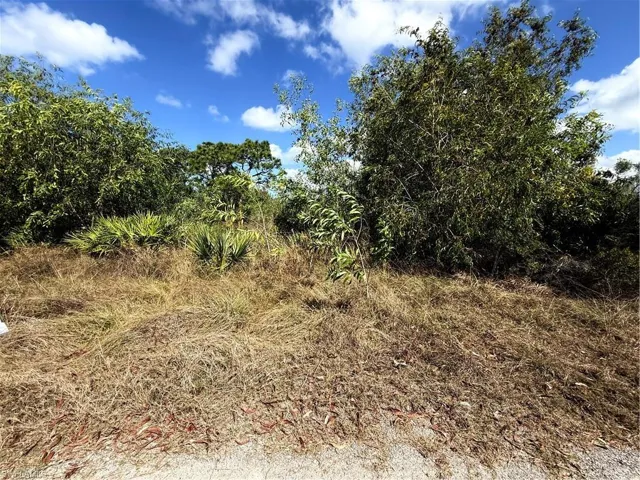 View of undeveloped land
