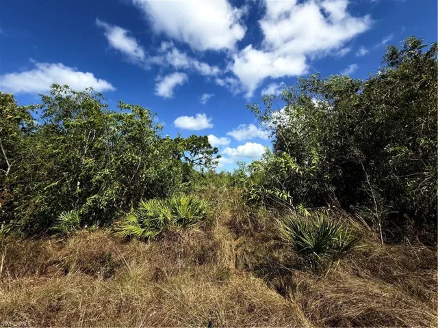 View of nature