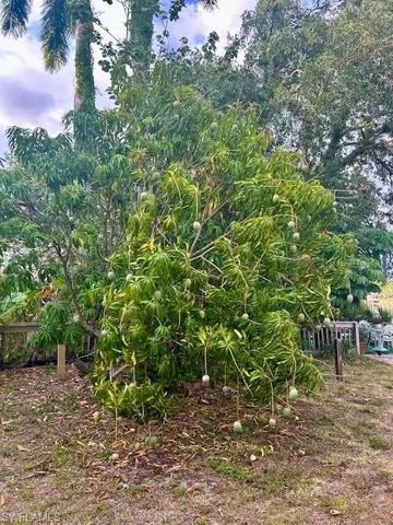 4201  19th SW PL, Naples, FL 34116