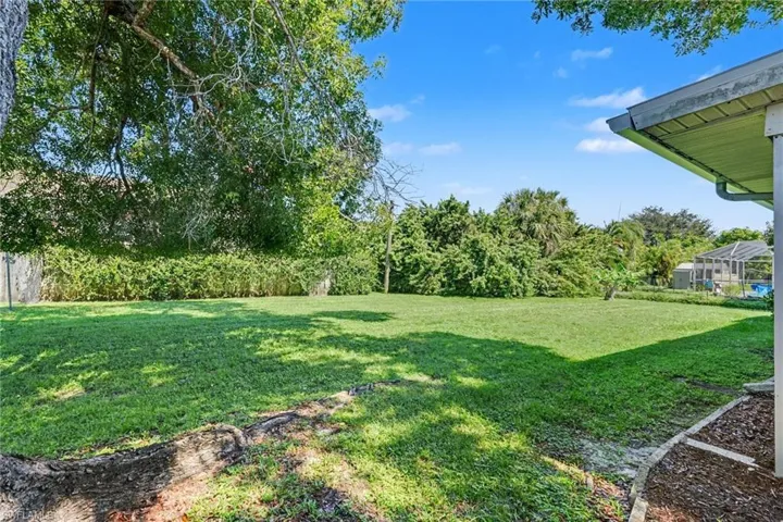 Large back yard