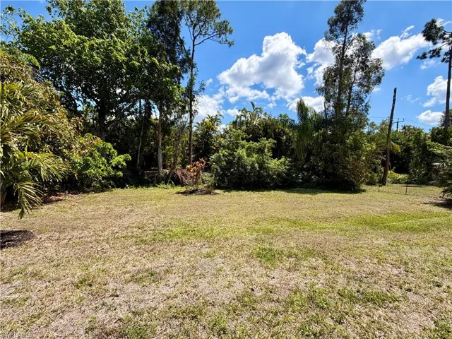 View of grassy yard