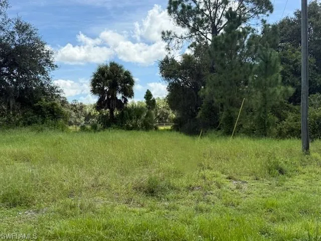 View of nature
