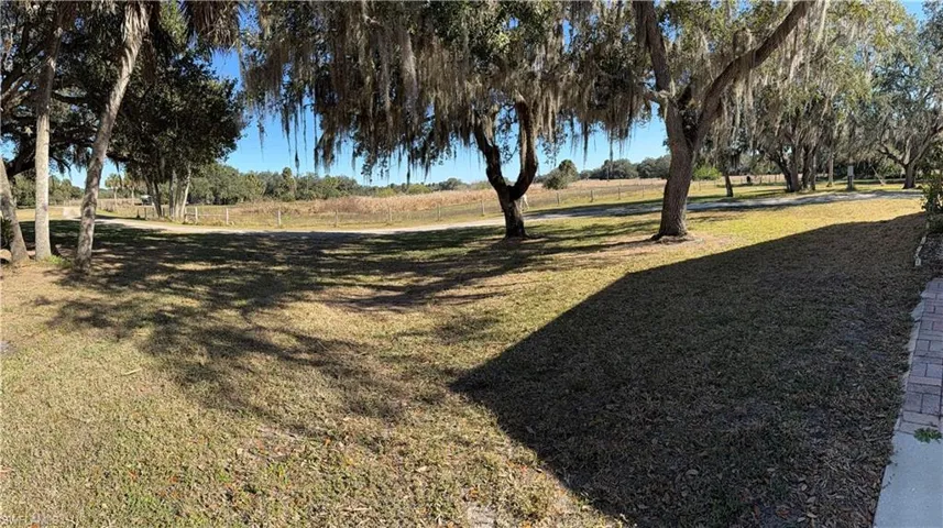 View of grassy yard