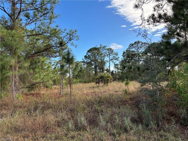 1118 Darling ST E, LEHIGH ACRES FL 33974