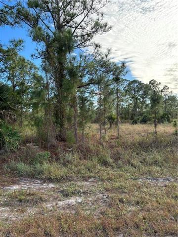 1118 Darling ST E, LEHIGH ACRES FL 33974