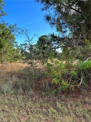 1118 Darling ST E, LEHIGH ACRES FL 33974