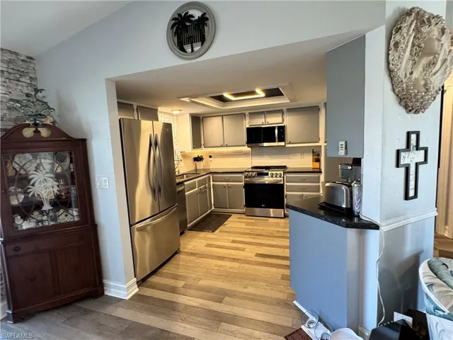 Kitchen with dark countertops, light wood-type flooring, a tray ceiling, and stainless steel appliances