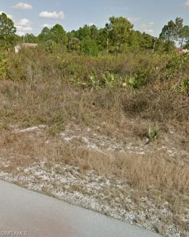 View of local wilderness
