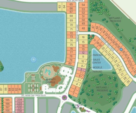 Lot 37 with preserve view